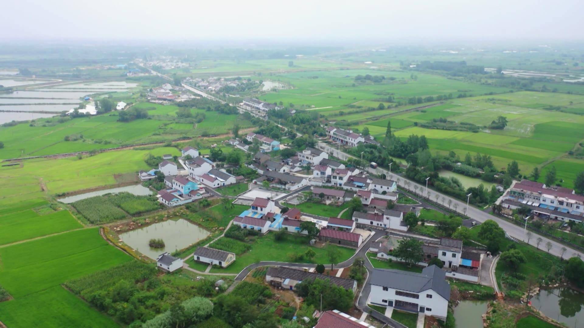 马鞍山市和县:"积分制"激活乡风文明"内动力"