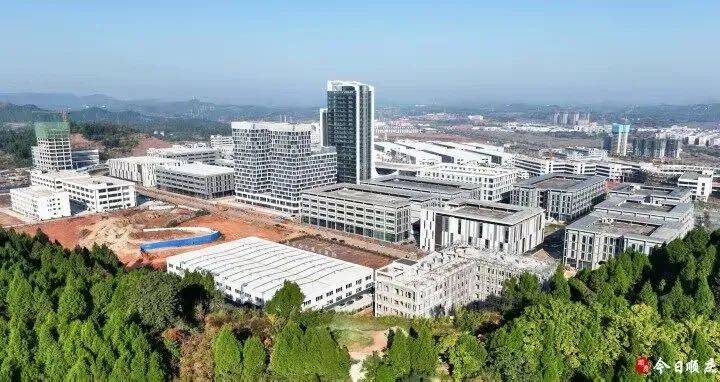 "十大行动"加紧干 临江新区顺庆片区宏图展