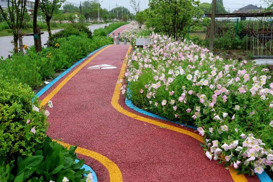 闵行这条河畔绿道焕然一新,漫步享受花香扑鼻的初夏时光!