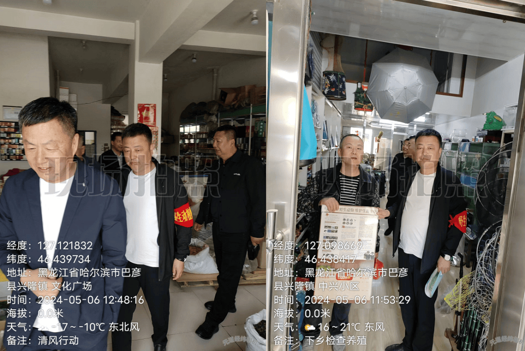 "完善保护体系,护佑候鸟迁飞"——巴彦县林业和草原局组织多部门联合