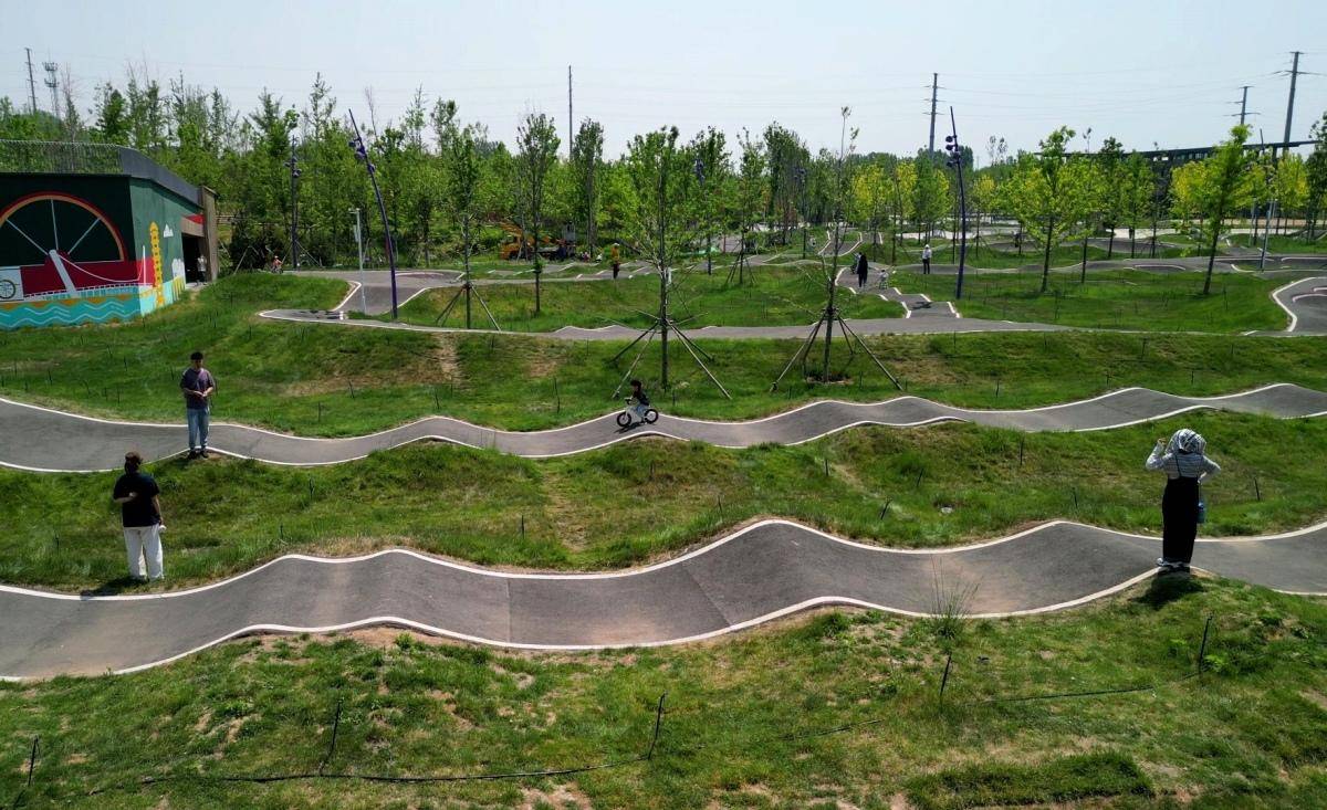 博览视频|骑行公园里享童年