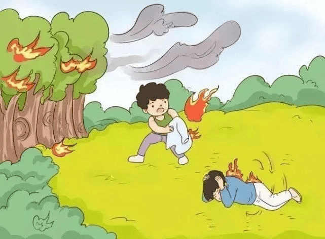 【森林防火】森林防火正当时,这些知识必须知道