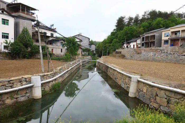 清水浊流照片图片