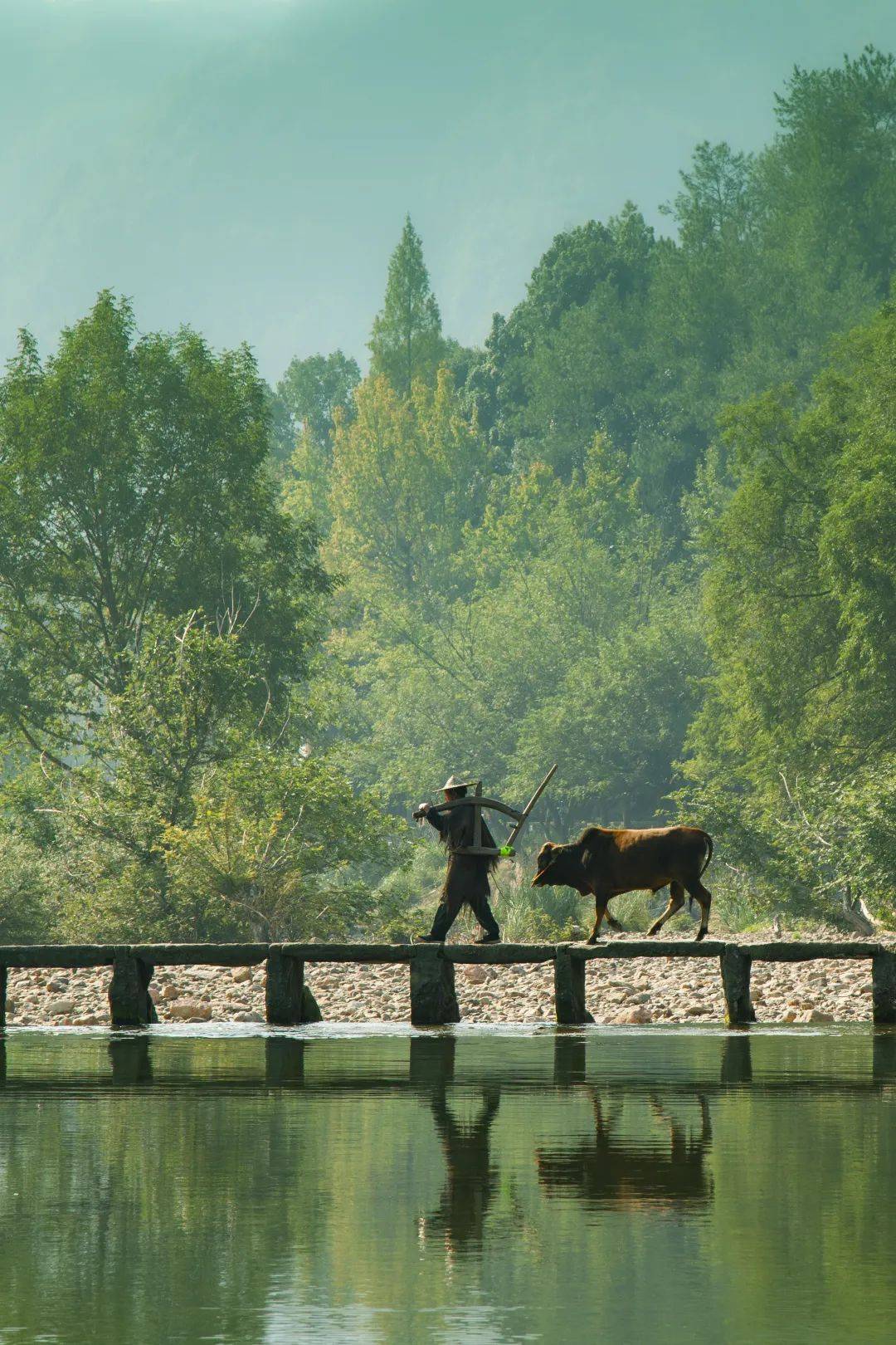 小县城跑赢大都市,史上最反常五一,你的家乡上榜了吗?