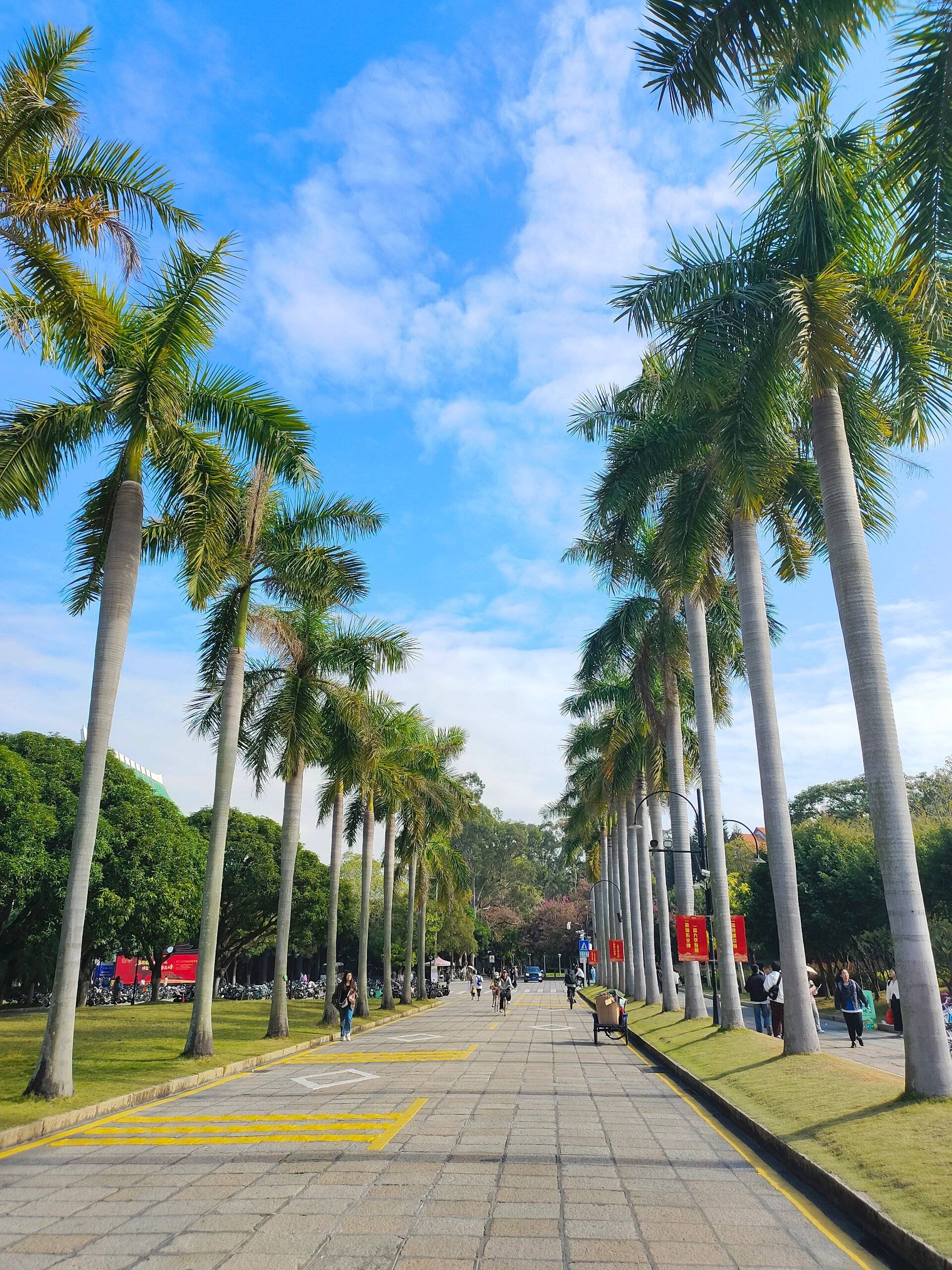 厦门集美学村值得去吗 ,景点 路线 费用,吃住行详细游玩攻略