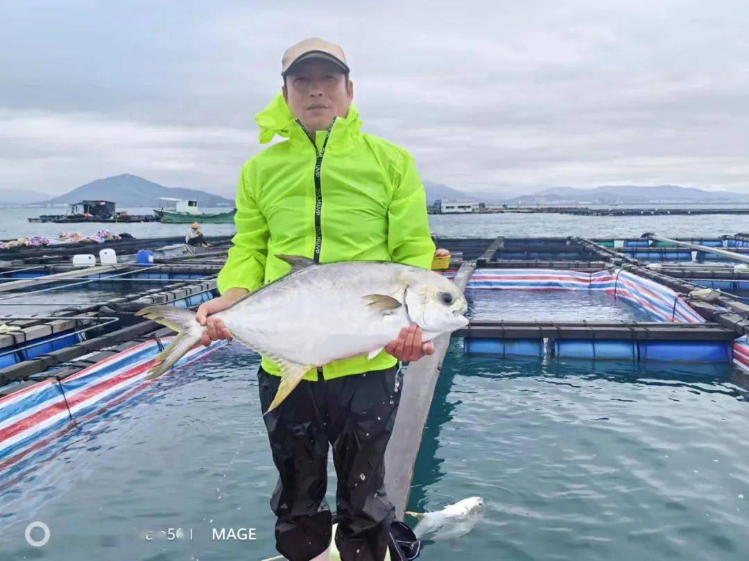 高品质!"蓝粮壹号"第六代金鲳苗 40多个海水鱼苗畅销全国