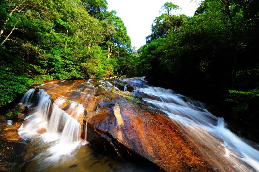 烟雨朦胧,夏日限定的武平雨后美景,治愈!