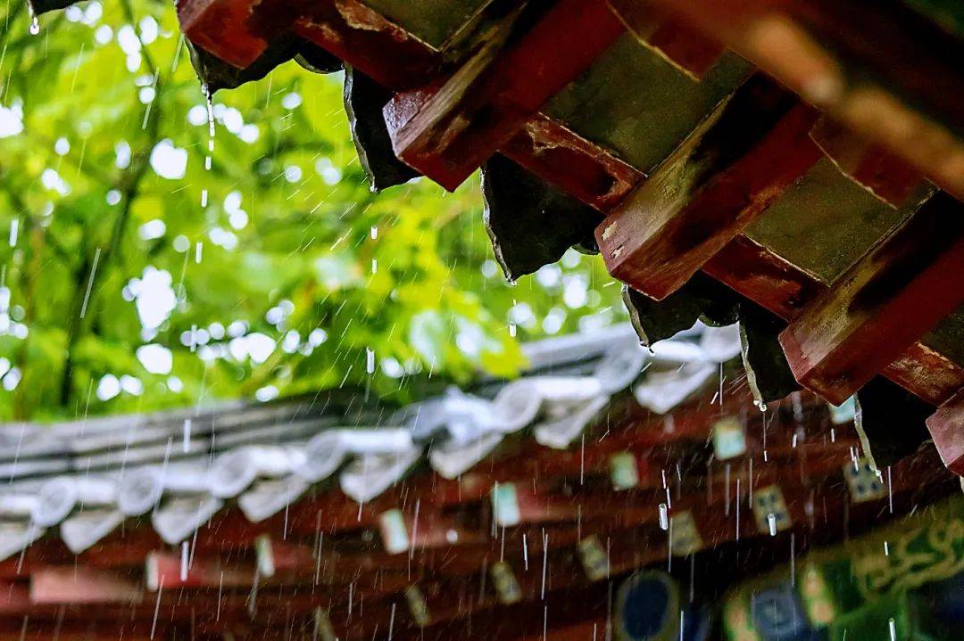 雨后美景图片