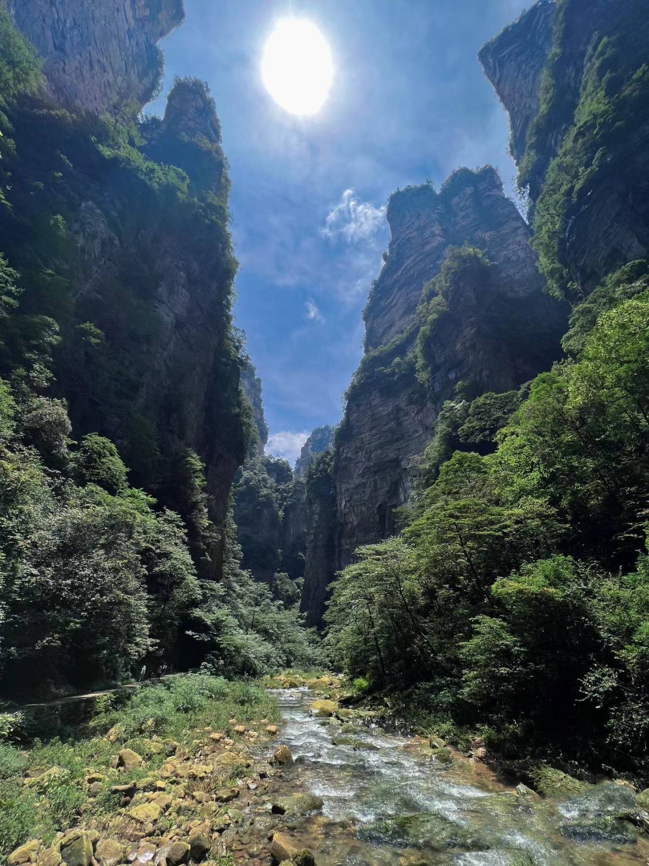 张家界天门山旅游团 ,给小白整理的各种旅游攻略大全!