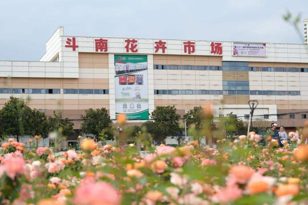 来春城"拍花"!《光明日报》聚焦昆明花拍中心