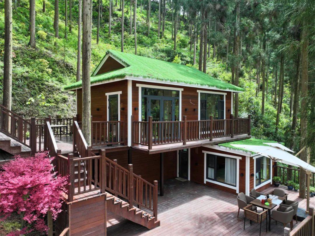 在山林间相遇 这座隐匿在森林氧吧中的民宿正式开业
