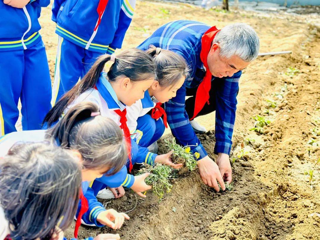 红领巾多彩实践丨人人讲安全,个个会应急