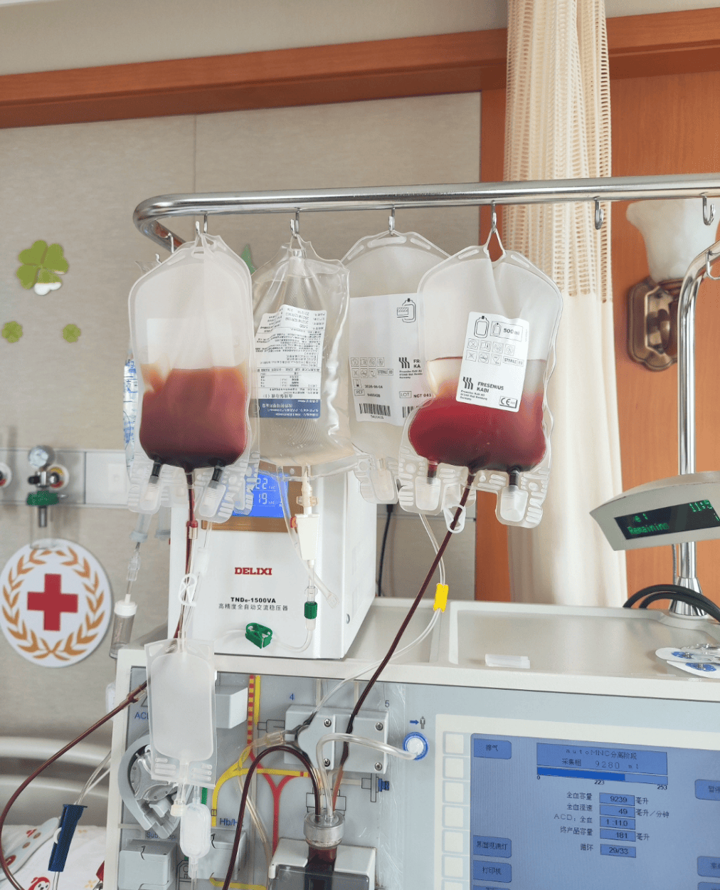 同事"中奖"请假15天,主管秒批_造血_干细胞_陈俊