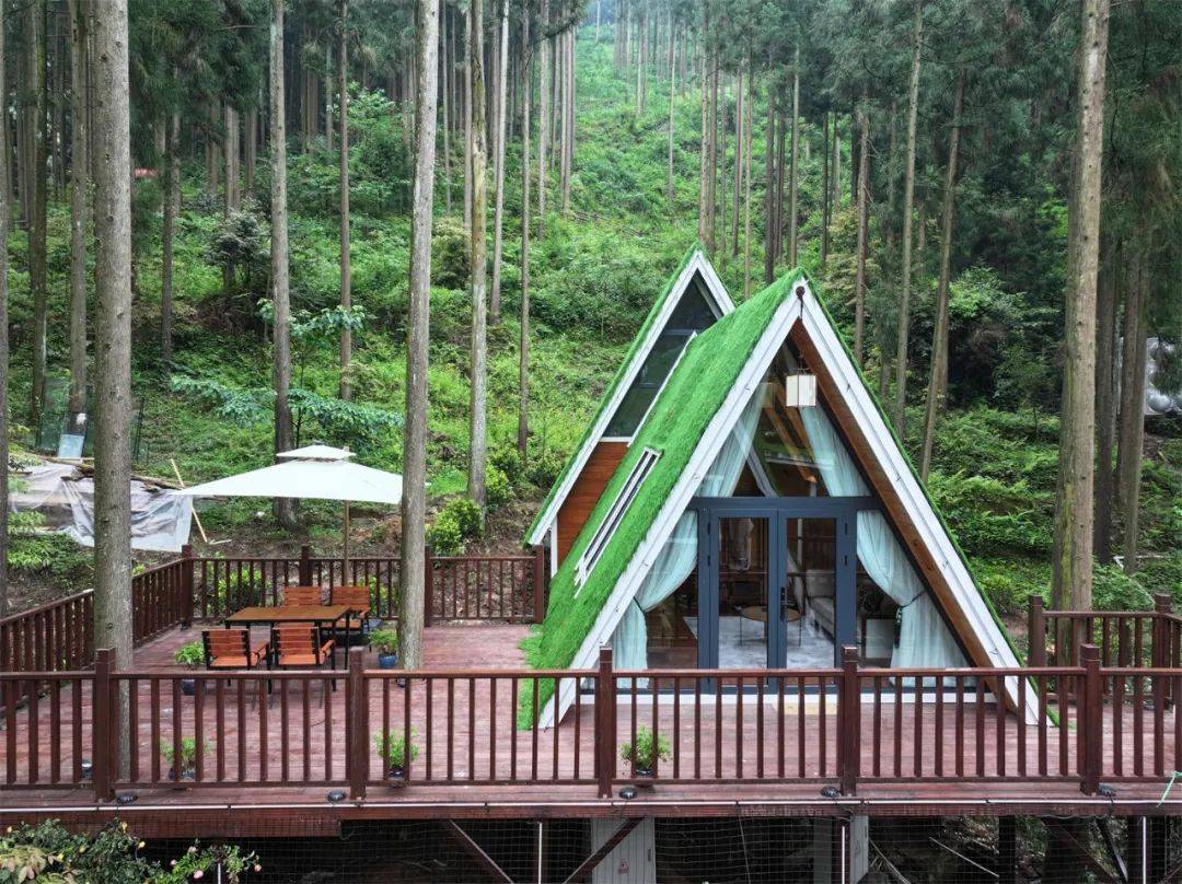 在山林间相遇 这座隐匿在森林氧吧中的民宿正式开业