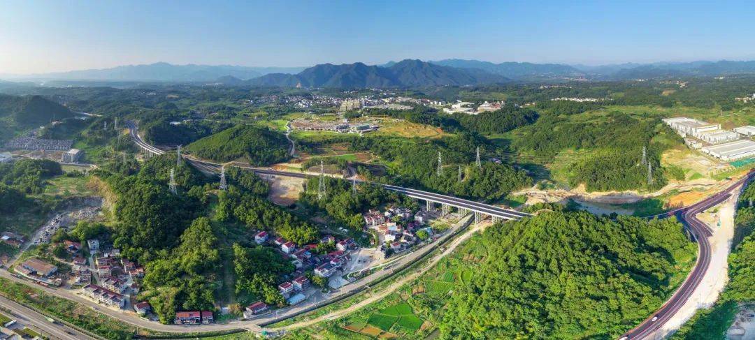 恭喜!市级"兰花杯"考核名单公布,新昌一项目入选