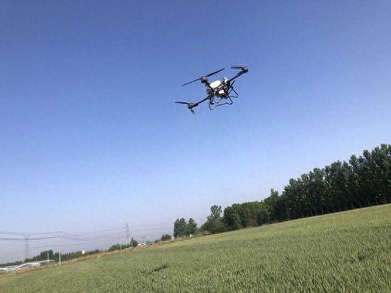 临沭县郑山街道开展小麦飞防作业 为夏粮丰产丰收护航