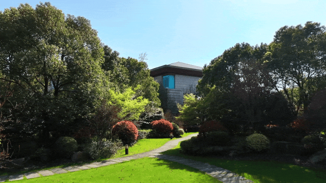 等一片橘子海,漫步同里湿地公园,看水上森林和灿烂花海.