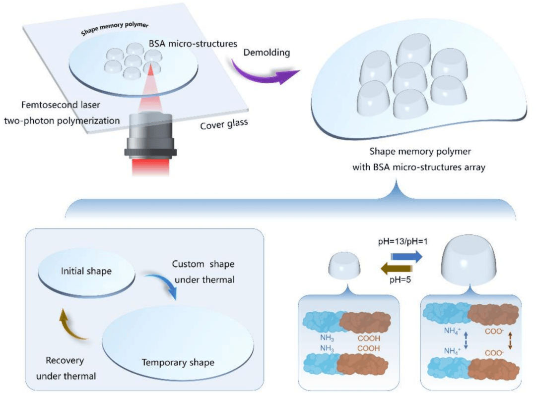 激光光学的发展与应用 | lop六十周年特辑⑦