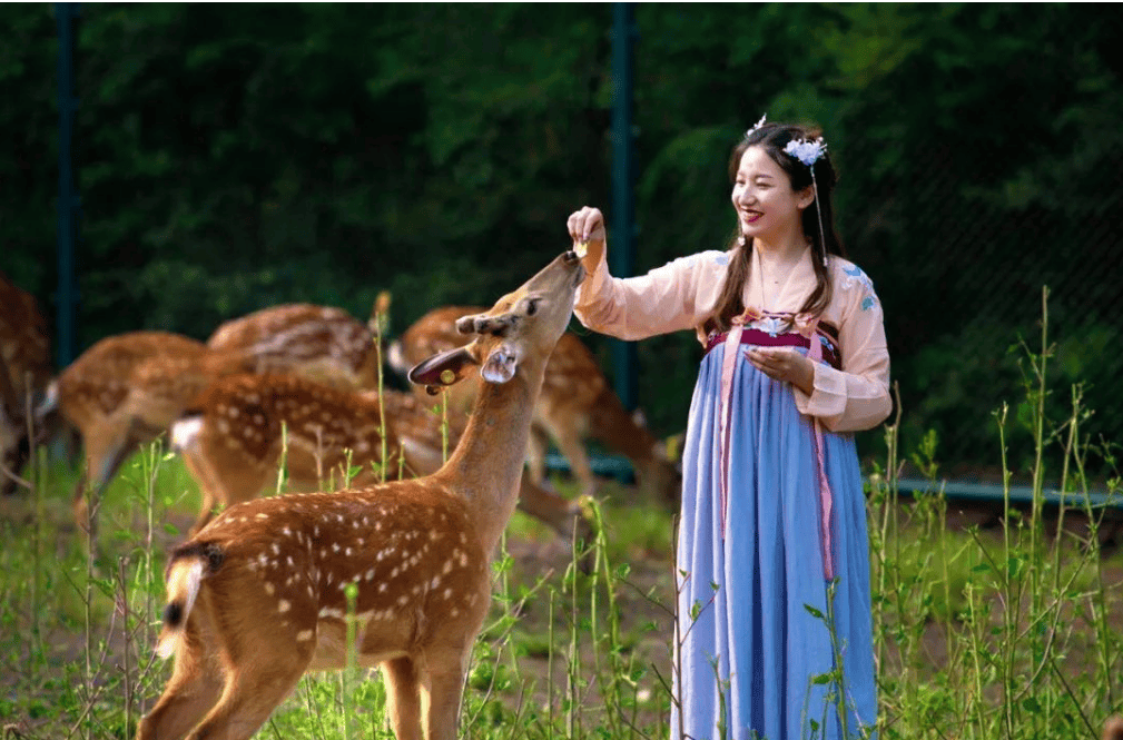 和妈妈一起漫游双阳,送上节日惊喜,留下美好回忆_地址_度假_梅花鹿