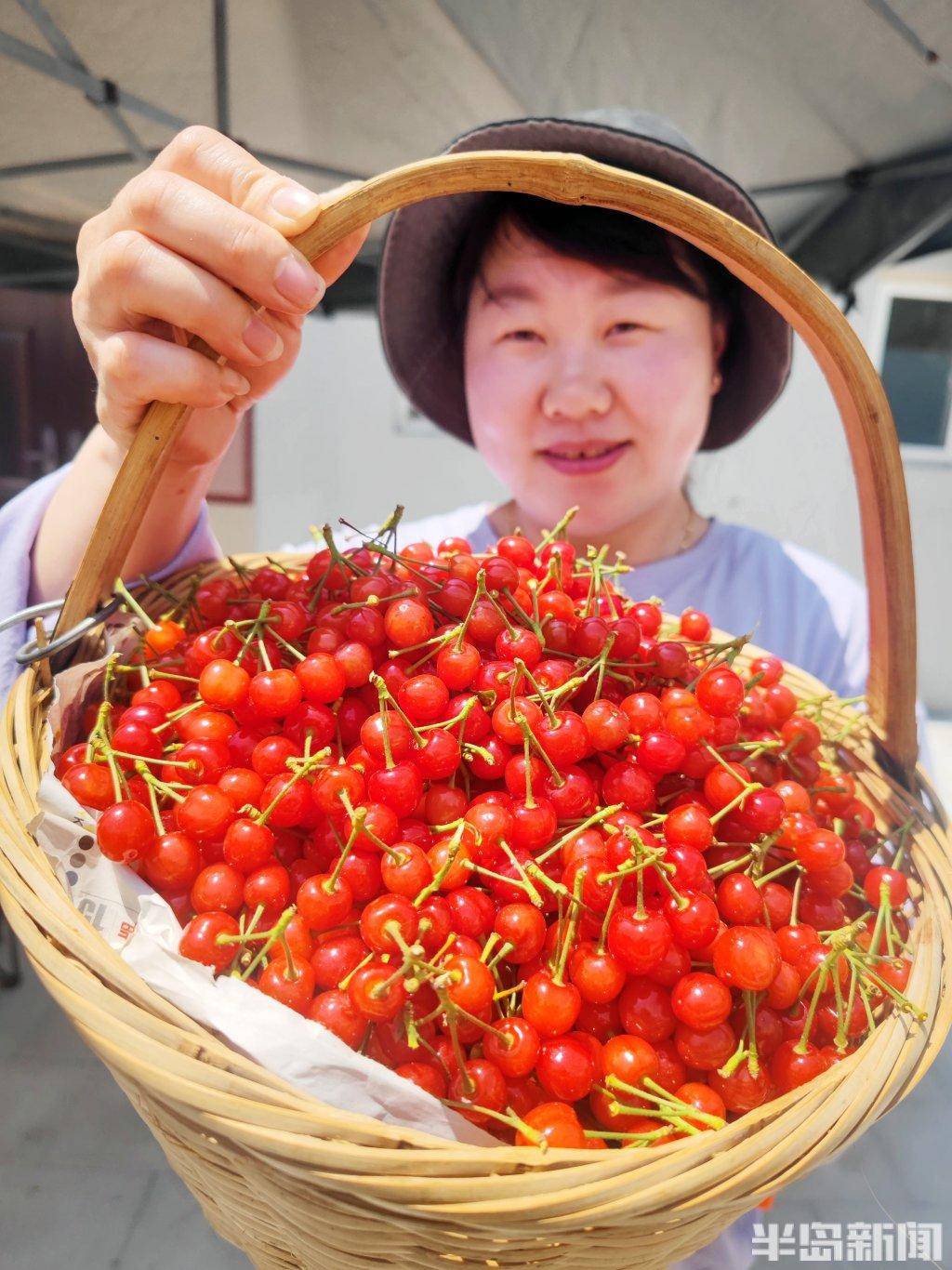 第二十九届北宅樱桃节开幕!_崂山_青岛_活动