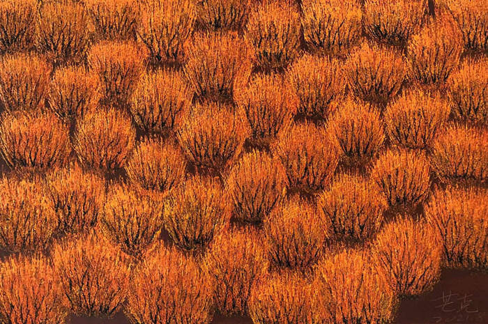 他用那笔钱付了房子的首付,然后转型成了画家.