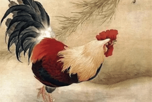 第一名属鸡女属鸡女,风情万种,她们活的坦坦荡荡,婚后会给老公带来享