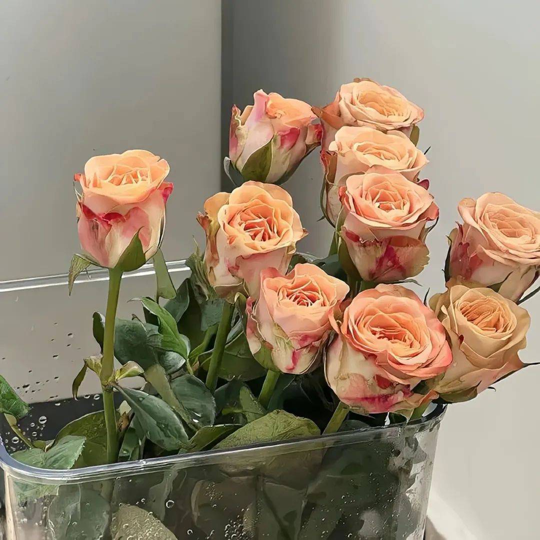 背景图 | wechat必须保存的背景图