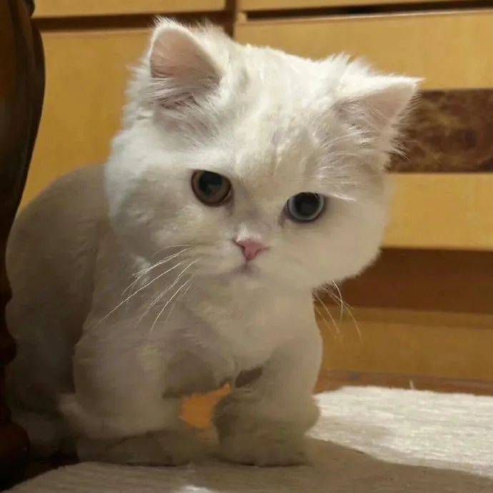 头像 | 有趣的人才会刷到的头像 676767