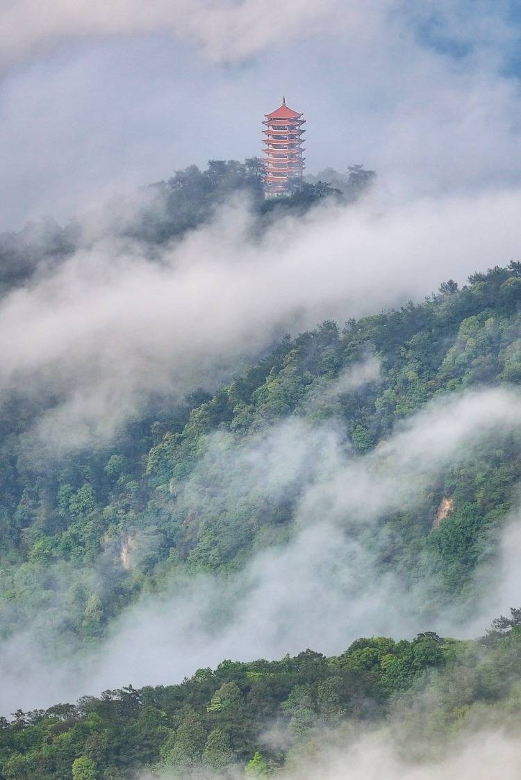 北碚缙云风景区门票图片