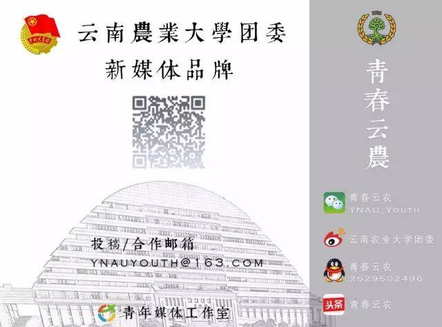 带你体验很"板扎"的云南生活~ | 招募季