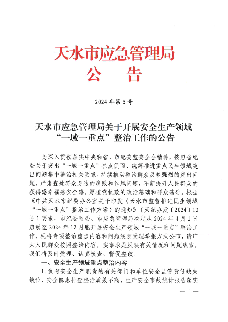 关于开展安全生产领域"一域一重点"整治工作的公告_应急_天水市_管理
