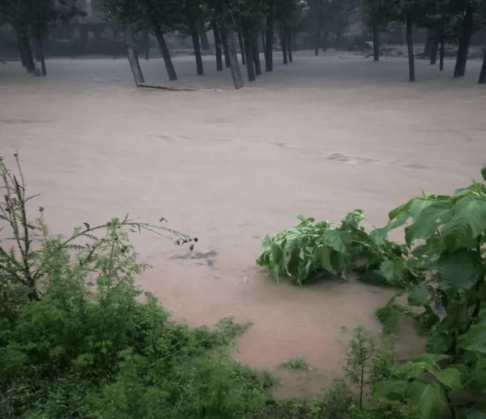 应急_河南省_南召县