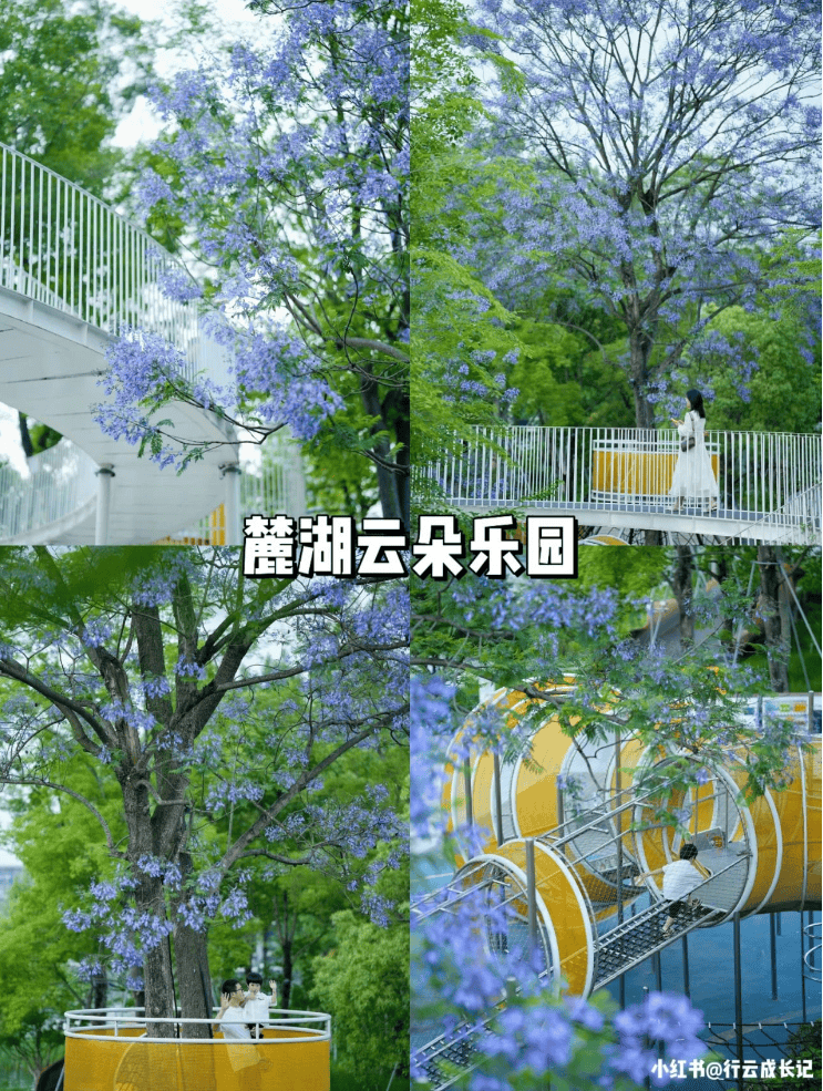 图源小红书:行云成长记交通:地铁1号线红石公园a口地址:麓湖云朵乐园