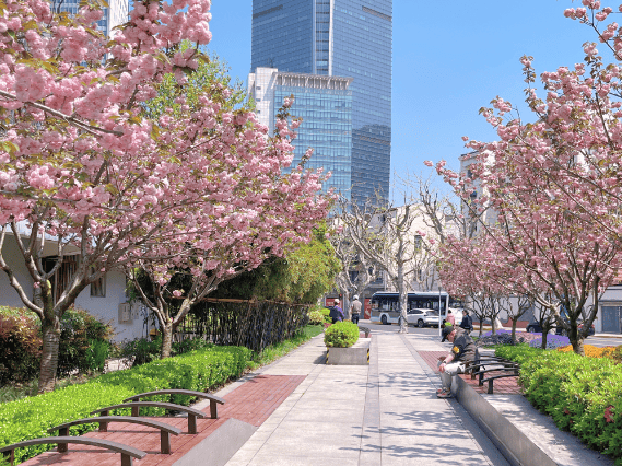 地点:南京西路永源路路口拾影花园南京西路青海路东南角的拾影花园