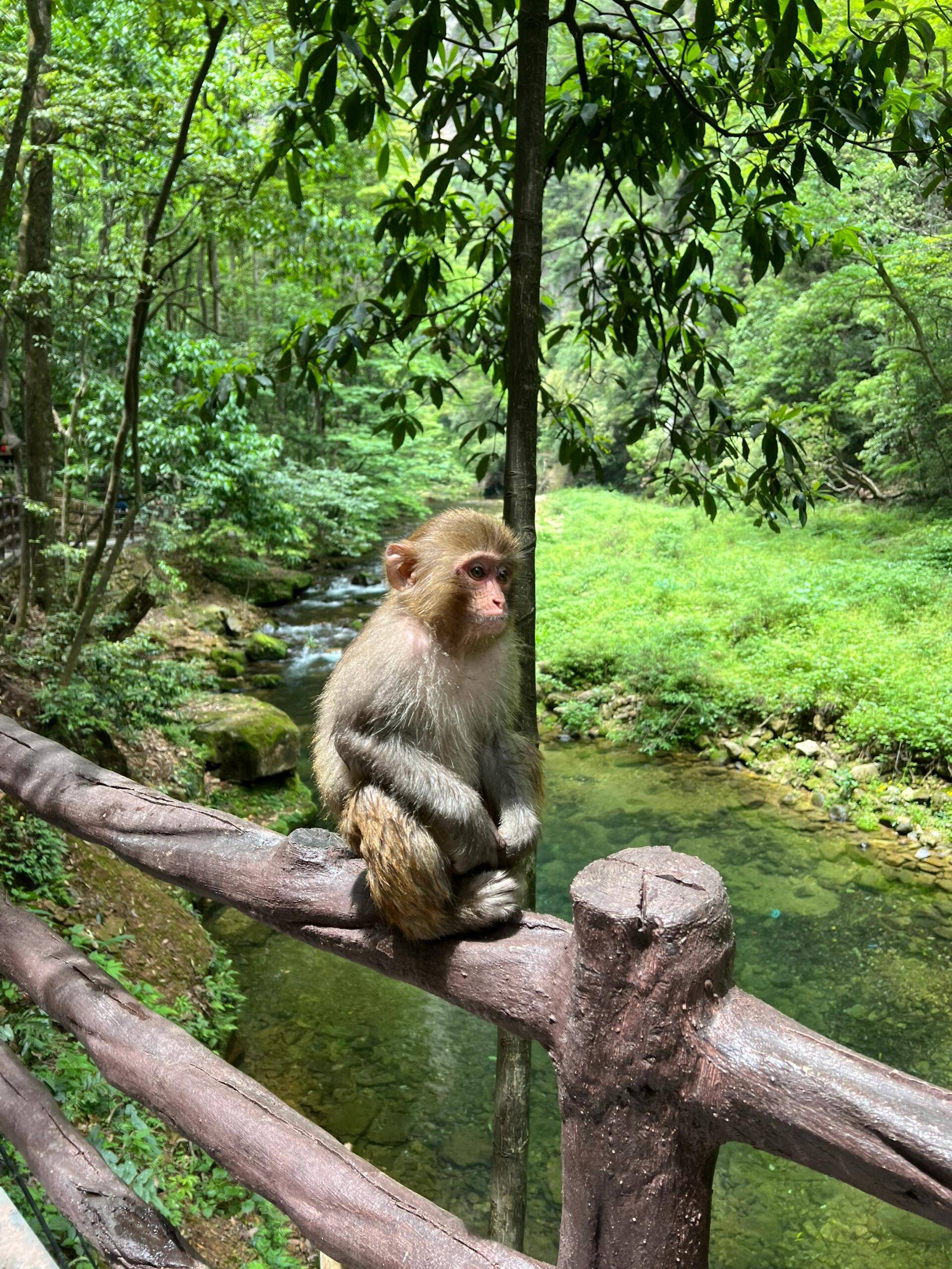 南宁去张家界旅游团价格,费用多少 ,旅游最佳游玩详细攻略,一千块足够