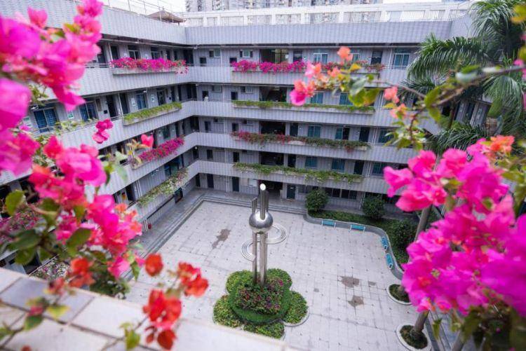 福田高中巡礼|华强职校:铸厚德之魂,育精湛之才
