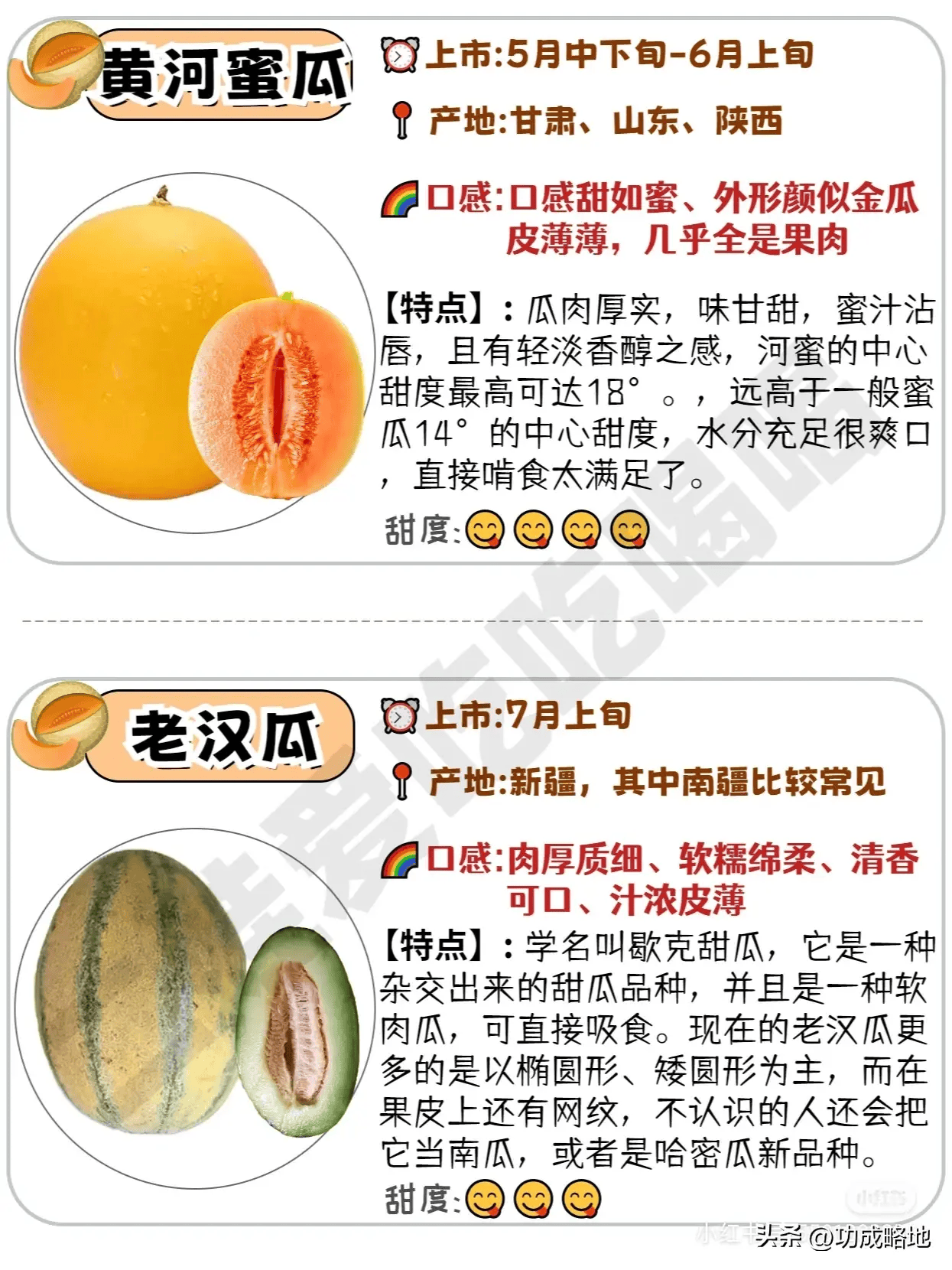 瓜的种类及图片和简介图片