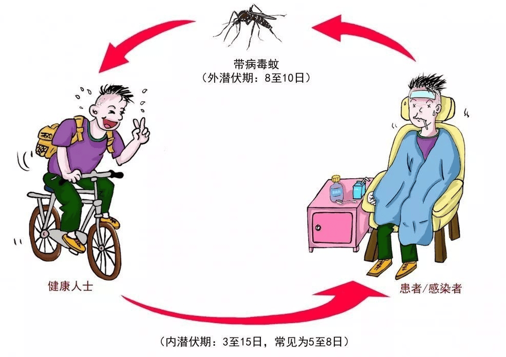 有一种"热"叫"登革热"