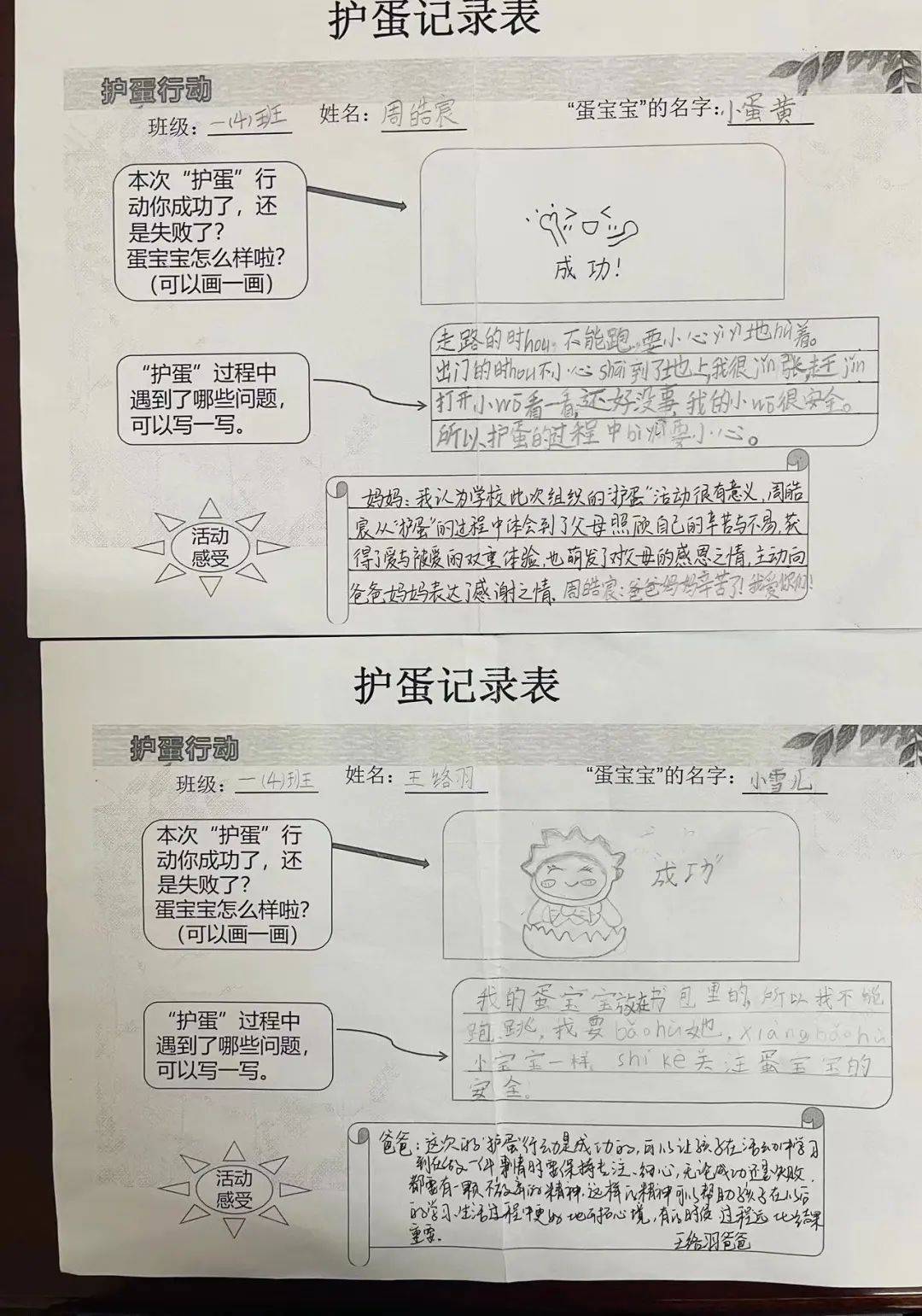 记仪征市实验小学一(4)一(5)班的护蛋行动