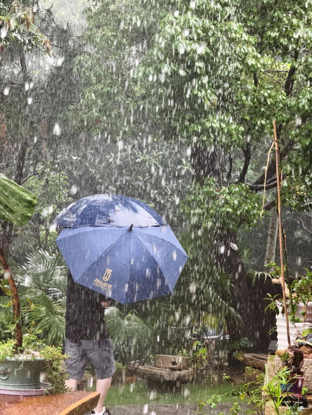 雷电轰鸣,狂风暴雨!最新预警→同安天气