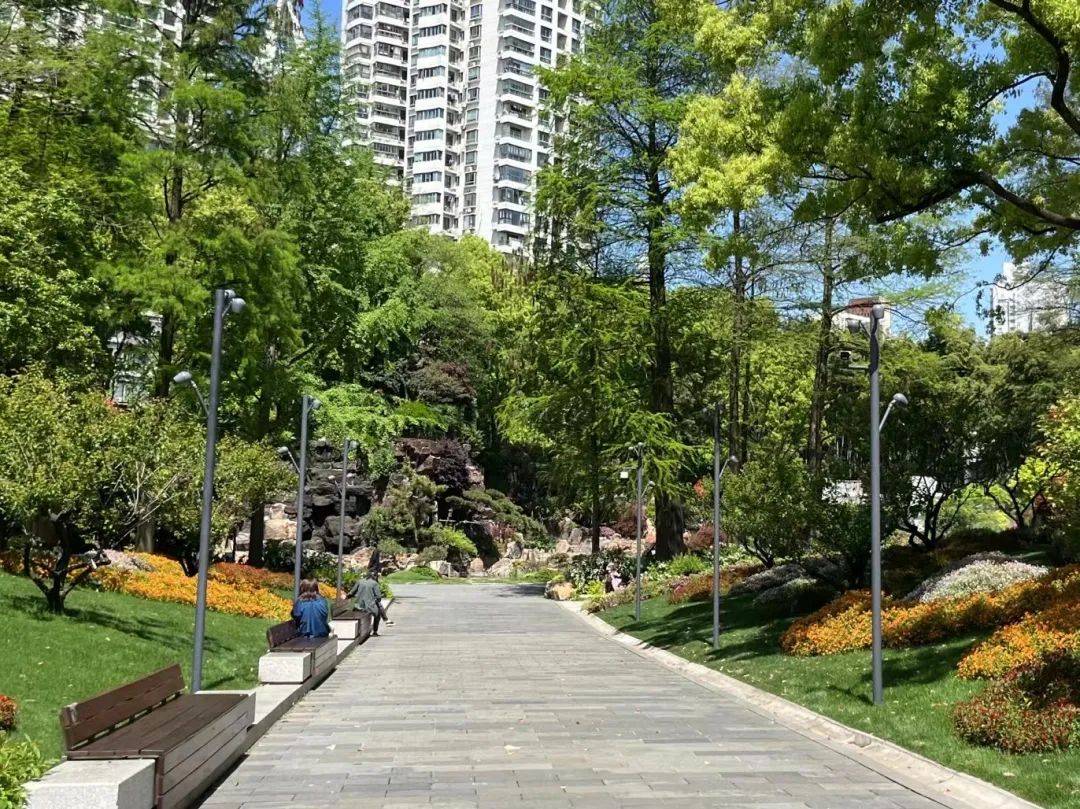 工作暂停,中午去公园wildeat一下!