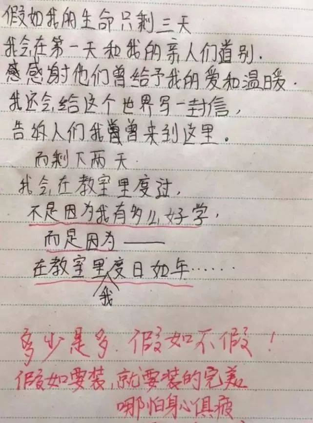 小学生搞笑作文笑喷图片