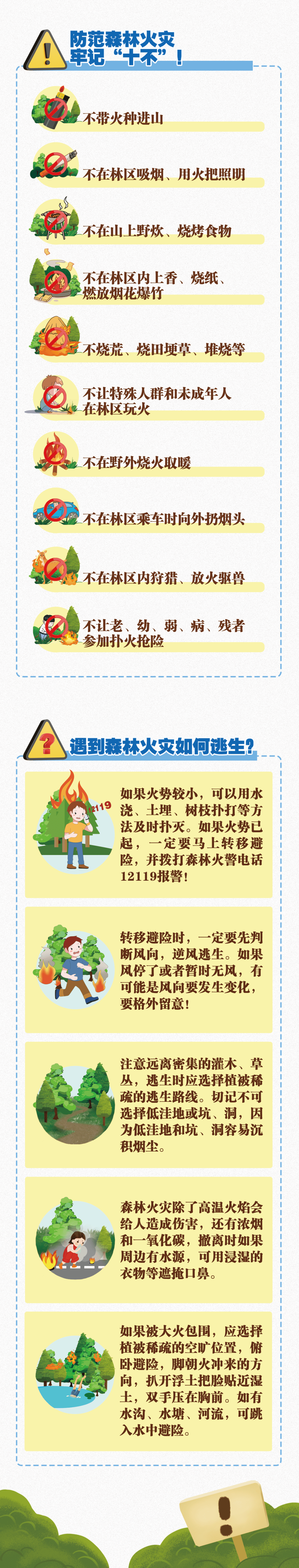 防灾避险"救"在身边②丨森林火灾怎么防?这些知识请牢记