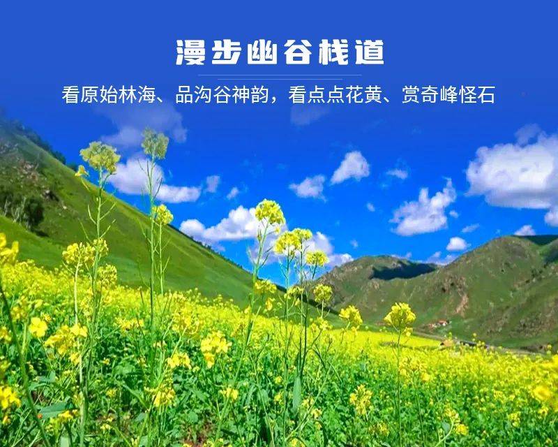 の火山草原-辉腾锡勒草原-网红黄花沟-乌兰察布之夜_活动_景区_出发