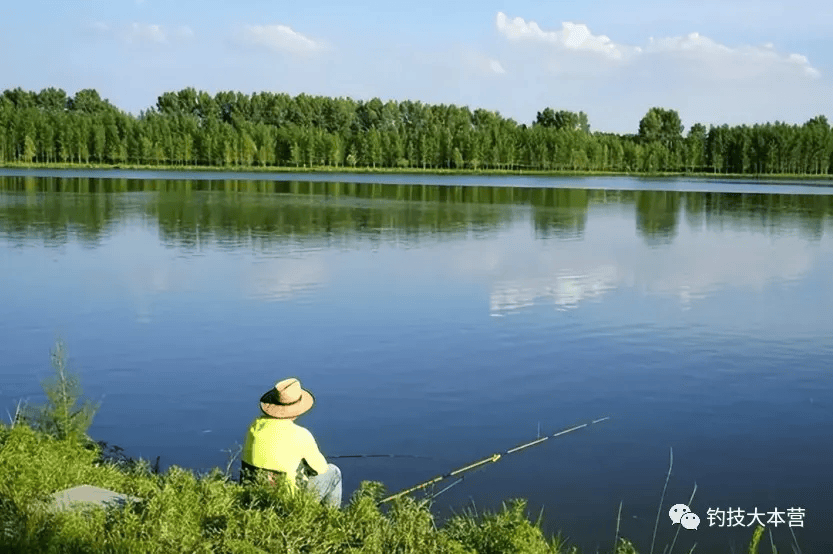 夏天钓鲫鱼,底钓没口时,试试这样转变_水温_鱼饵_水层