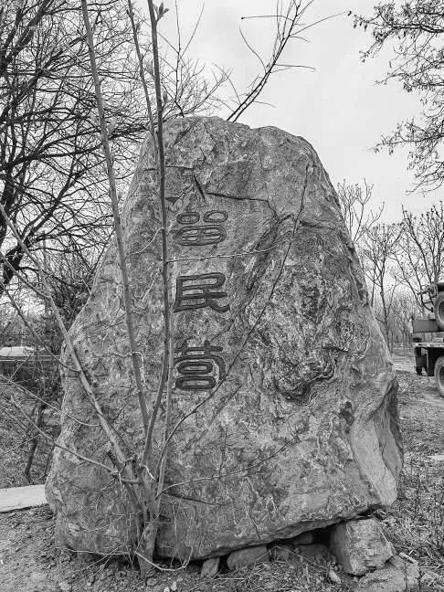 移民最多的是平阳府,而平阳府洪洞县广济寺的大槐树下成为移民集结地