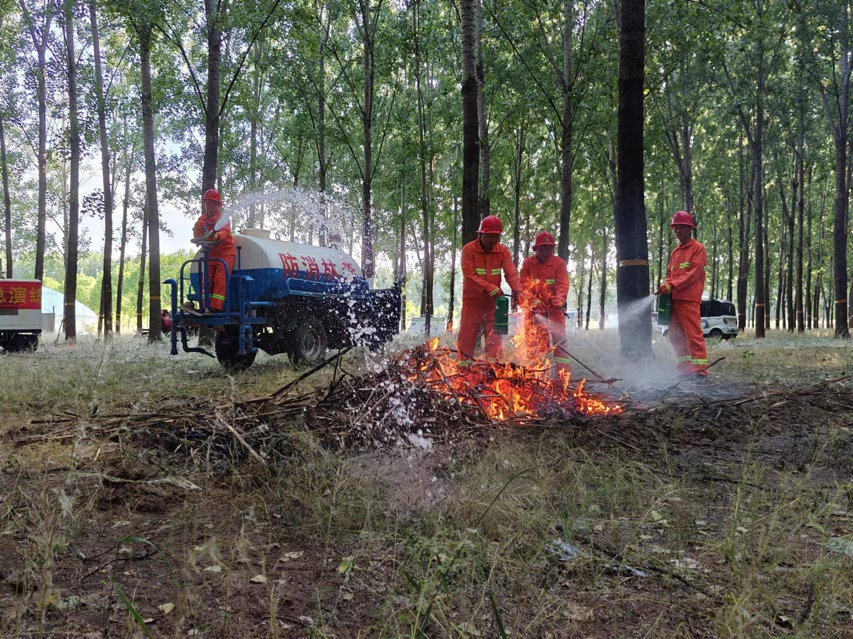 森林防火隔离带合同图片