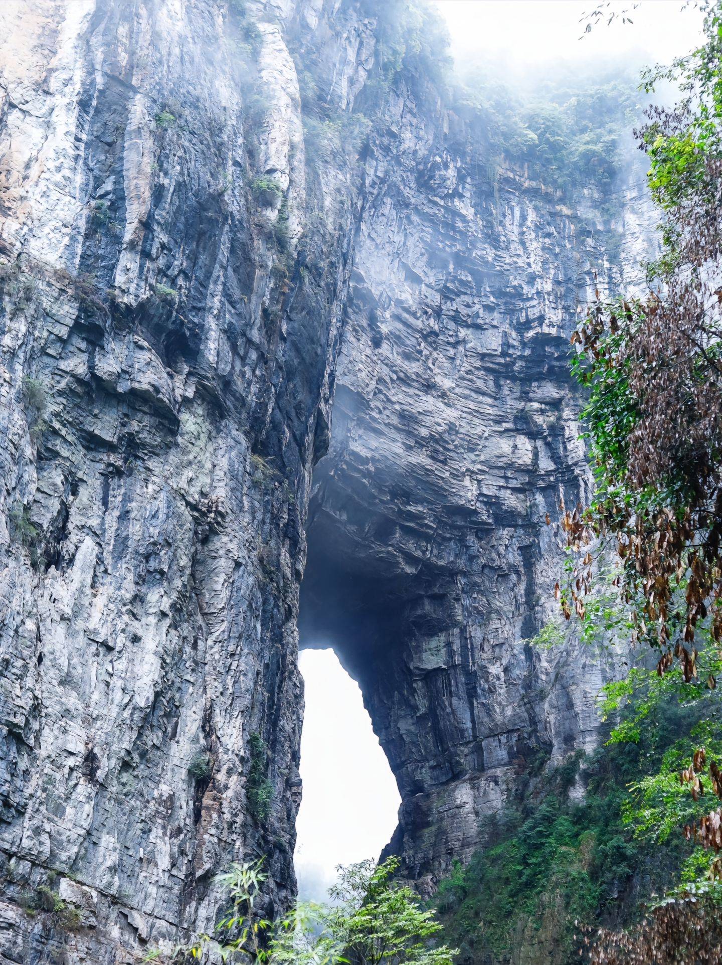 辽阳至重庆旅游路线,自由行攻略 (内附线路推荐 交通 门票)