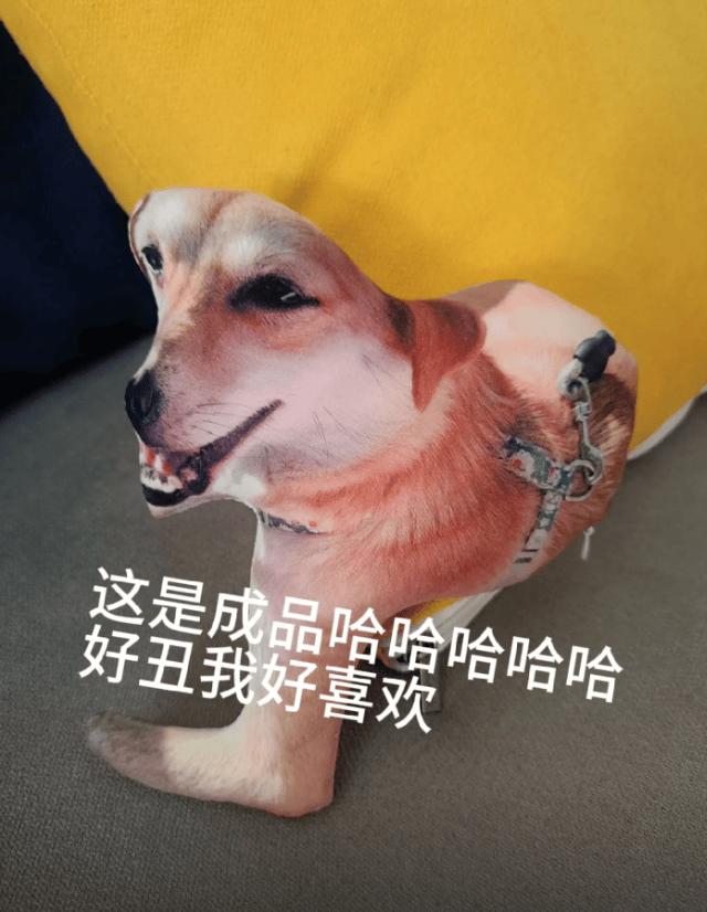 主人网上给狗狗订制抱枕,收到一根"冻干老鼠".店家:放心,包丑的!