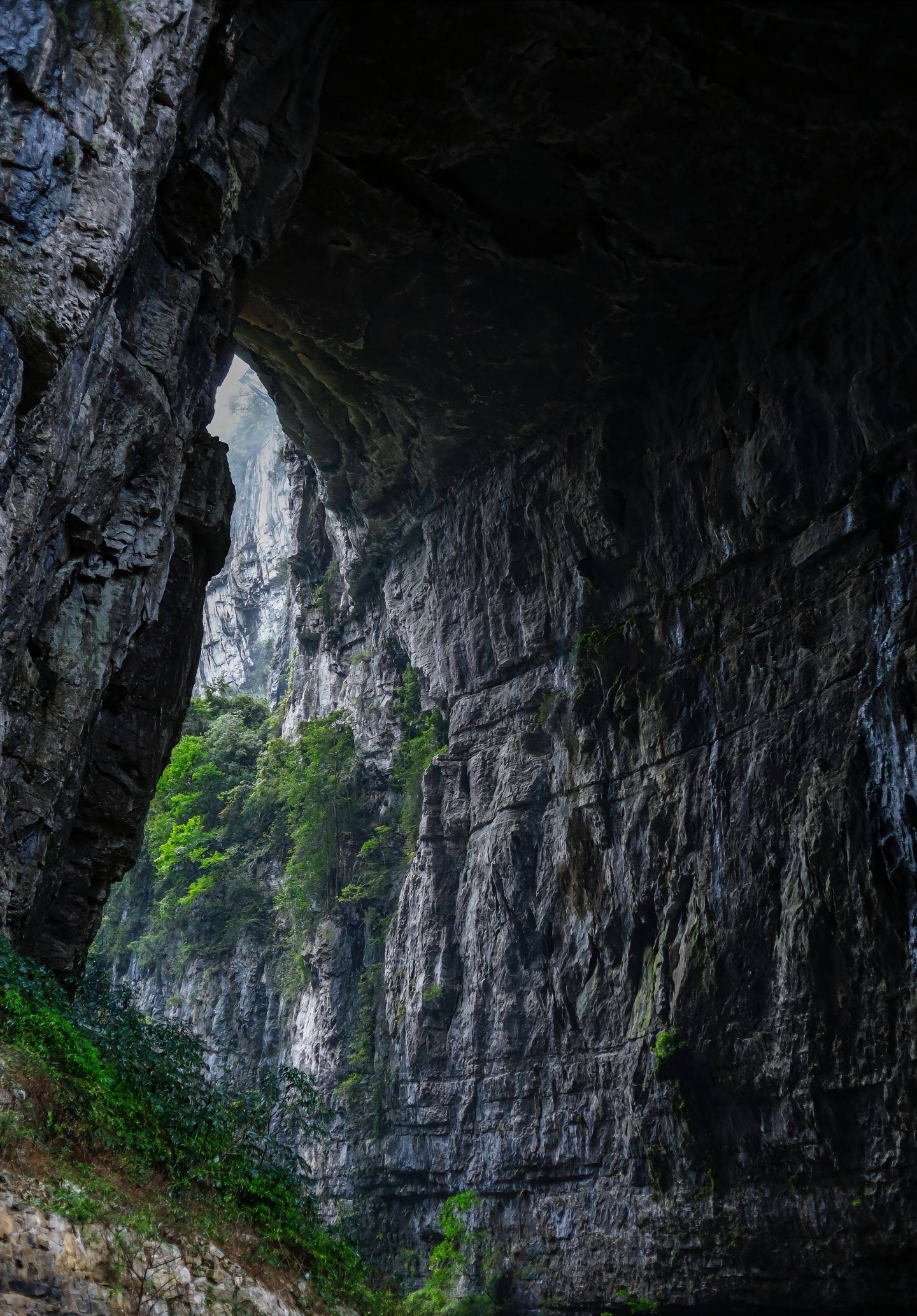 邵阳到重庆旅游报团价格,团费多少,给第一次去的姐妹